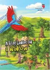 A Bird Landed On a Window