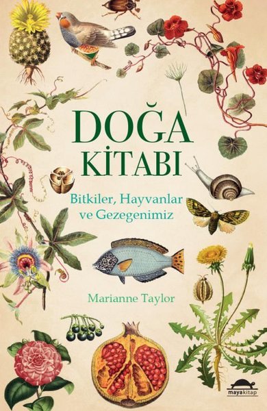 Doğa Kitabı: Bitkiler-Hayvanlar ve Gezegenimiz